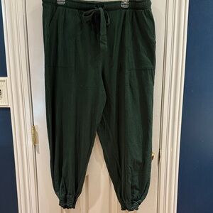 Aerie Dark Green Joggers